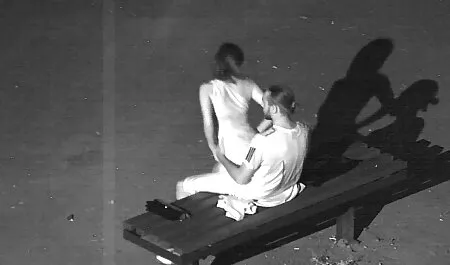 Bụi trồng một phổ biến gái tinh phim sex nhật bản tình cảm ranh