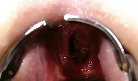Dolly phim sex nhat ban moi Lee đã được mời đến ngôi sao trong một quả dâu tây.